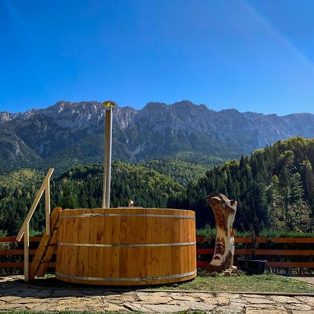 فندق Panorama Pietrei Craiului Zărneşti المظهر الخارجي الصورة